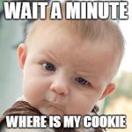 skeptical baby meme plain | WAIT A MINUTE; WHERE IS MY COOKIE | image tagged in skeptical baby meme plain | made w/ Imgflip meme maker