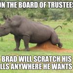 Rhino scratching balls | ON THE BOARD OF TRUSTEES; BRAD WILL SCRATCH HIS BALLS ANYWHERE HE WANTS TO | image tagged in rhino scratching balls | made w/ Imgflip meme maker