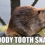 WOODY TOOTH SNARF | WOODY TOOTH SNARF | image tagged in beaver,funny names,animals | made w/ Imgflip meme maker