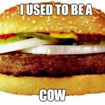 Hamburger | I USED TO BE A; COW | image tagged in hamburger | made w/ Imgflip meme maker