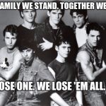 outsiders | AS A FAMILY WE STAND. TOGETHER WE FALL. WE LOSE ONE. WE LOSE 'EM ALL. | image tagged in outsiders | made w/ Imgflip meme maker