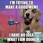 I Have No Idea What I Am Doing Dog | I'M TRYING TO MAKE A GOOD MEME; I HAVE NO IDEA WHAT I AM DOING | image tagged in memes,i have no idea what i am doing dog | made w/ Imgflip meme maker