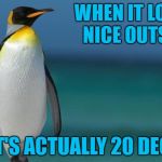 Penguin Clear Blue Water | WHEN IT LOOKS NICE OUTSIDE; BUT IT'S ACTUALLY 20 DEGREES | image tagged in penguin clear blue water,americanpenguin | made w/ Imgflip meme maker
