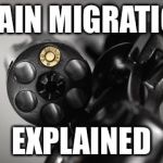 Russian Roulette | CHAIN MIGRATION; EXPLAINED | image tagged in russian roulette | made w/ Imgflip meme maker
