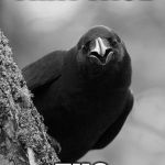Why Raven | THAT FACE; THO | image tagged in why raven | made w/ Imgflip meme maker