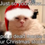 Cat with red christmas hat | Just so you know... I put a dead mouse in your Christmas stocking. | image tagged in cat with red christmas hat | made w/ Imgflip meme maker