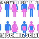 du naht hait plez! | THE ONLY PLACE WITH MORE THAN 2 GENDERS; IS THE AUSCHWITZ SCIENCE LAB | image tagged in gender chart 58 genders,gender identity,politics,nazis | made w/ Imgflip meme maker