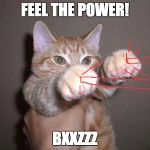 Pew Pew Cat | FEEL THE POWER! BXXZZZ | image tagged in pew pew cat | made w/ Imgflip meme maker