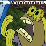 Sponge Bob Chocolate Fish | WHY TRUMP, WHYYYYYYYYYYYYYY!?!!!!? | image tagged in sponge bob chocolate fish | made w/ Imgflip meme maker