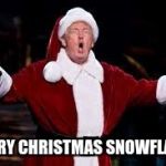 trump christmas | MERRY CHRISTMAS SNOWFLAKES | image tagged in trump christmas | made w/ Imgflip meme maker