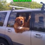 dog in a car | THEY SEE ME ROLLIN; THEY HATIN | image tagged in dog in a car | made w/ Imgflip meme maker