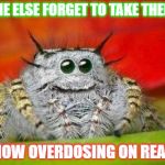misunderstood spider | ANYONE ELSE FORGET TO TAKE THEIR LSD; AND NOW OVERDOSING ON REALITY? | image tagged in misunderstood spider | made w/ Imgflip meme maker