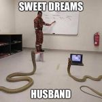 Teaching python programming | SWEET DREAMS; HUSBAND | image tagged in teaching python programming | made w/ Imgflip meme maker