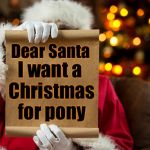 What the kid who has everything asks for | Dear Santa; I want a Christmas for pony | image tagged in santa's list,memes,pony,christmas | made w/ Imgflip meme maker