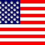 Marijuana leaf American flag