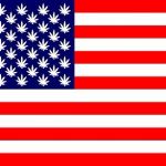 Marijuana leaf American flag | image tagged in marijuana leaf american flag | made w/ Imgflip meme maker