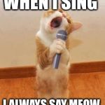 Singer Cat | WHEN I SING; I ALWAYS SAY MEOW | image tagged in singer cat | made w/ Imgflip meme maker