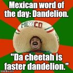 succesful mexican | Mexican word of the day: Dandelion. "Da cheetah is faster dandelion." | image tagged in succesful mexican | made w/ Imgflip meme maker