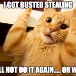 cat being busted stealing | I GOT BUSTED STEALING; I WILL NOT DO IT AGAIN..... OR WILL I | image tagged in cat being busted stealing | made w/ Imgflip meme maker