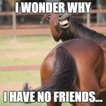 funny horse | I WONDER WHY; I HAVE NO FRIENDS... | image tagged in funny horse | made w/ Imgflip meme maker