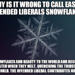 snowflake | WHY IS IT WRONG TO CALL EASILY OFFENDED LIBERALS SNOWFLAKES? SNOWFLAKES ADD BEAUTY TO THE WORLD AND BECOME WATER WHEN THEY MELT, QUENCHING THE THIRST OF THE WORLD. THE OFFENDED LIBERAL CONTRIBUTES NOTHING. | image tagged in snowflake | made w/ Imgflip meme maker