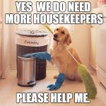 house cleaning | YES  WE DO NEED MORE HOUSEKEEPERS; PLEASE HELP ME. | image tagged in house cleaning | made w/ Imgflip meme maker