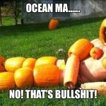This is not funny | OCEAN MA...... NO! THAT’S BULLSHIT! | image tagged in pumpkin man | made w/ Imgflip meme maker