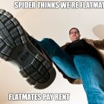 spider flatmate | SPIDER THINKS WE'RE FLATMATES? FLATMATES PAY RENT | image tagged in stomping man with big boots,spider,spiders,flatmate,flatmates,boot | made w/ Imgflip meme maker