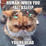 I did not authorize these fu@&%ng bows  | HUMAN, WHEN YOU FALL ASLEEP; YOU’RE DEAD | image tagged in grumpy christmas cat,human,sleep,dead,not amused | made w/ Imgflip meme maker