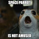 Space Parrot | SPACE PARROT; IS NOT AMUSED | image tagged in space parrot | made w/ Imgflip meme maker