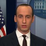 Stephen Miller, Nazi Idiot