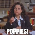 Poppy Seed Muffin | POPPIES! | image tagged in poppies,seinfeld,elaine benes,elaine,poppy seed,drug test | made w/ Imgflip meme maker