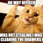 cat being busted stealing | NO WAY OFFICER; I WAS NOT STEALING I WAS ... UM CLEANING THE DRAWERS OUT. | image tagged in cat being busted stealing | made w/ Imgflip meme maker