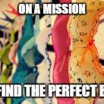 Bras | ON A MISSION; TO FIND THE PERFECT BRA. | image tagged in bras | made w/ Imgflip meme maker