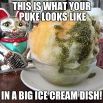 Puke in a big ice cream bowl | THIS IS WHAT YOUR PUKE LOOKS LIKE; IN A BIG ICE CREAM DISH! | image tagged in shaved ice foreign | made w/ Imgflip meme maker