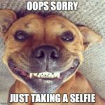 selfie time | OOPS SORRY; JUST TAKING A SELFIE | image tagged in smiling dog,sexy selfie | made w/ Imgflip meme maker
