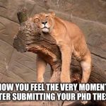 sleeping lion | HOW YOU FEEL THE VERY MOMENT AFTER SUBMITTING YOUR PHD THESIS | image tagged in sleeping lion | made w/ Imgflip meme maker