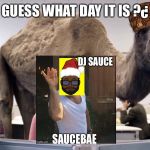 Hump day camel | GUESS WHAT DAY IT IS ?¿ | image tagged in hump day camel,scumbag | made w/ Imgflip meme maker