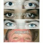 cocaine, beer, marijuana meme