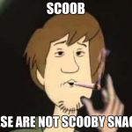 Shaggy joint | SCOOB; THESE ARE NOT SCOOBY SNACKS | image tagged in shaggy joint | made w/ Imgflip meme maker