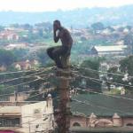 Guy on Telephone Pole