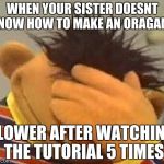 Muppets  | WHEN YOUR SISTER DOESNT KNOW HOW TO MAKE AN ORAGAMI; FLOWER AFTER WATCHING THE TUTORIAL 5 TIMES | image tagged in muppets | made w/ Imgflip meme maker