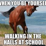 Horse | WHEN YOU BE YOURSELF; WALKING IN THE HALLS AT SCHOOL | image tagged in horse | made w/ Imgflip meme maker