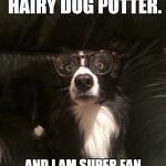 Harry Potter as a dog | HELLO MY NAME IS HAIRY DOG POTTER. AND I AM SUPER FAN OF HARRY POTTER HIS SELF | image tagged in harry potter as a dog | made w/ Imgflip meme maker