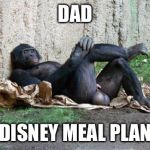 Big balls gorilla | DAD; DISNEY MEAL PLAN | image tagged in big balls gorilla | made w/ Imgflip meme maker