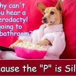 Random Thoughts While Watching the Late Movies | Why can't you hear a pterodactyl going to the bathroom? Because the "P" is Silent | image tagged in random thoughts dog,vince vance,dog watching tv,dog eating popcorn,pterydactyl,dog memes | made w/ Imgflip meme maker
