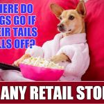 Random Thoughts While Watching the Late Movie 2 | WHERE DO DOGS GO IF THEIR TAILS FALLS OFF? TO ANY RETAIL STORE! | image tagged in random thoughts dog,vince vance,dog eating popcorn,dog watching tv,dog memes | made w/ Imgflip meme maker