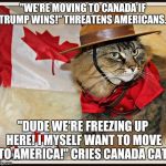 Canada Cat | "WE'RE MOVING TO CANADA IF TRUMP WINS!" THREATENS AMERICANS. "DUDE WE'RE FREEZING UP HERE! I MYSELF WANT TO MOVE TO AMERICA!" CRIES CANADA CAT. | image tagged in canada cat | made w/ Imgflip meme maker