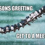 You are not alone | SEASONS GREETING; GET TO A MEETING | image tagged in one day at a time,let go to hang on,give up to win | made w/ Imgflip meme maker