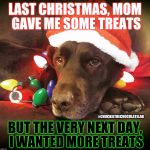 Last Christmas  | LAST CHRISTMAS, MOM GAVE ME SOME TREATS; #CHUCKIETHECHOCOLATELAB; BUT THE VERY NEXT DAY, I WANTED MORE TREATS | image tagged in chuckie the chocolate lab teamchuckie,dogs,funny,memes,christmas,holidays | made w/ Imgflip meme maker